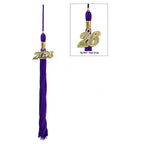 Matte Purple High School Cap & Gown